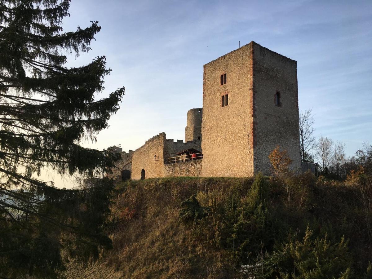 Ferienwohnungen Lausbuben & Zicken - Im Grunen Herzen Deutschlands Herleshausen Dış mekan fotoğraf